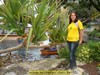 -Clique na imagem para ampliar-